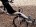 "I was getting wrist pain and body discomfort on a normal bike; I also think the best European recumbent bikes are now quite mature as a technology and affordable..."